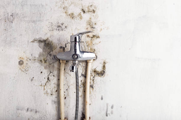 Best Water Damage Restoration  in Glasgow Village, MO