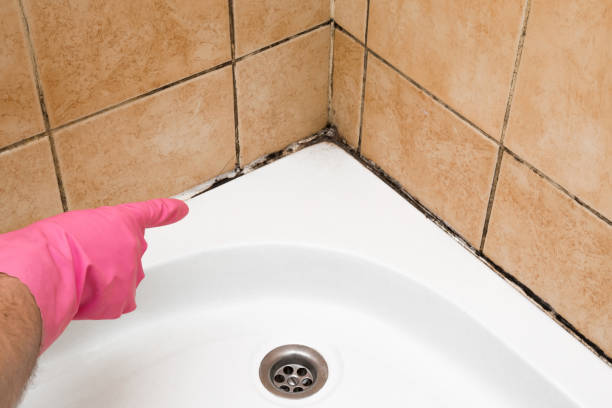 Best Residential Mold Removal  in Glasgow Village, MO